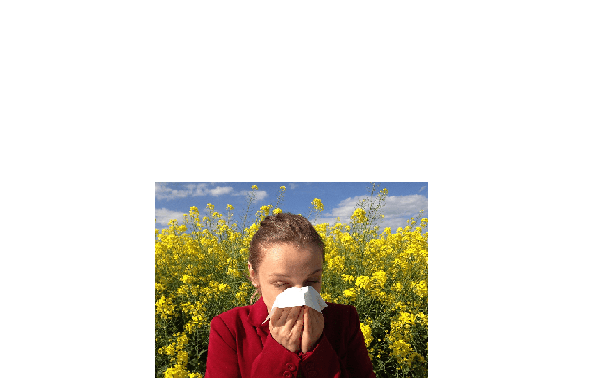 Ontbinding arbeidsovereenkomst wegens allergie voor hond van de baas 1 Allergie