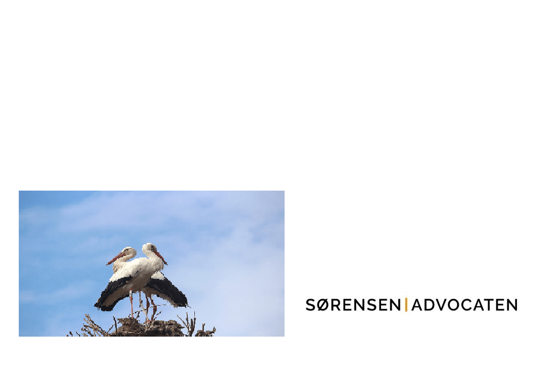 Nieuwsbrief 1 nieuwsbrief mei 2018