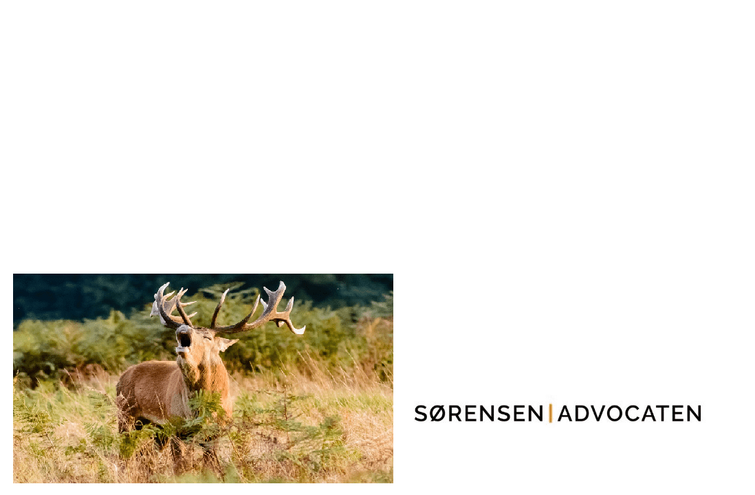Nieuwsbrief december 2018 1 nieuwsbrief december 2018