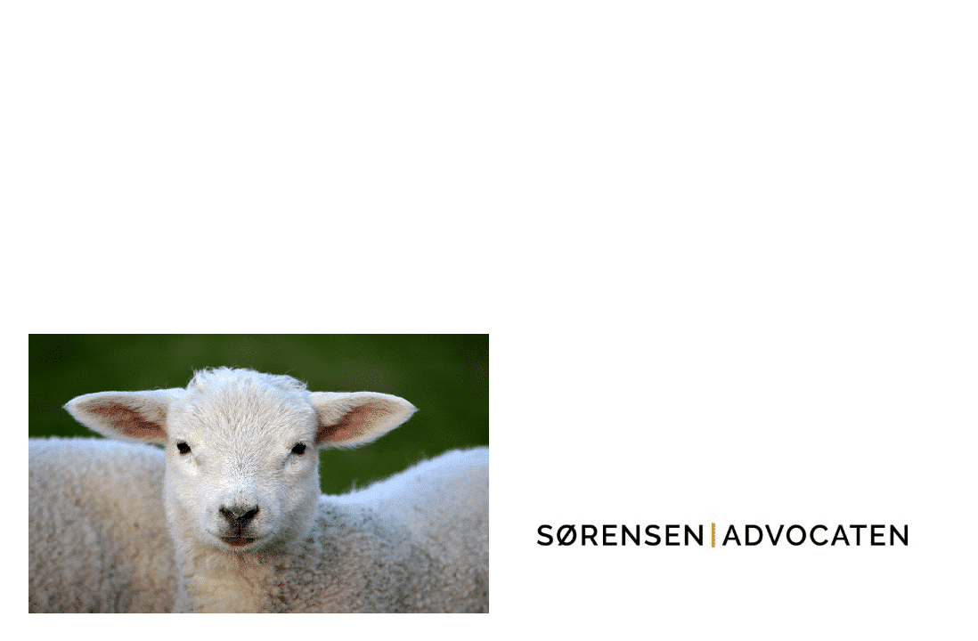 Nieuwsbrief maart 2019 1 nieuwsbrief mart 2019