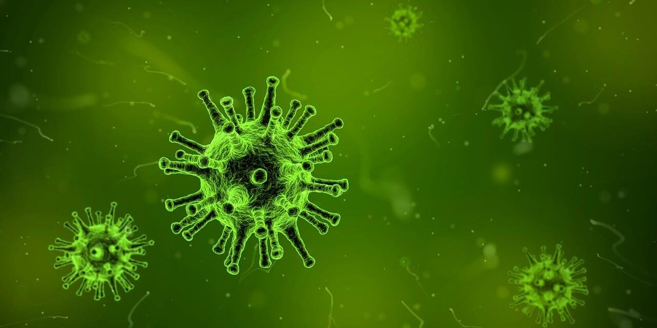 Werknemer oproepen tijdens ziekte: wat mag wel en wat mag niet? 1 virus 1812092 1280 1 1